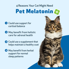 Pet Wellbeing - Pet Melatonin