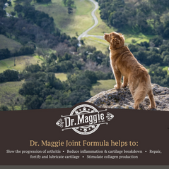 Dr. Maggie Joint Formula 240ml