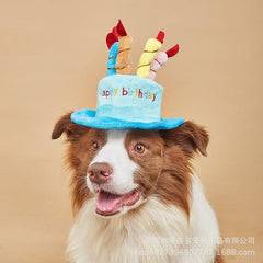Pet Birthday Cake Hat