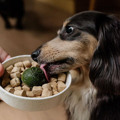 Faim Museau - Green Smoothie