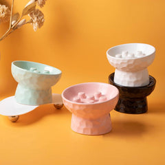 Pet Ceramic Bowl Elevated Raised and Tilted Slow Feeder