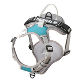 Dog Padded Vest Harness