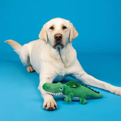 Fringe Studio - Ready To Croc Plush/Spiky Ball Dog Toy