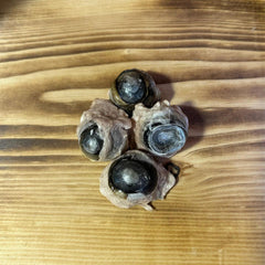 Grand Valley Quail - Freeze Dried Cow Eyeballs 4pc