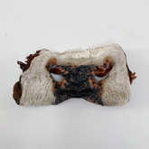 Grand Valley Quail - Beef Snout