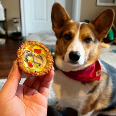 Pawty Bakery - Gobble Gobble Quiche (2pcs - Frozen)