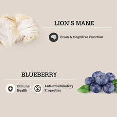 CHARMY PET Dog Lion’s Mane & Blueberry Mushroom Bone Broth