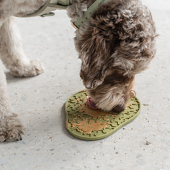 Dexypaws - Enrichment Lick Mat Avocado