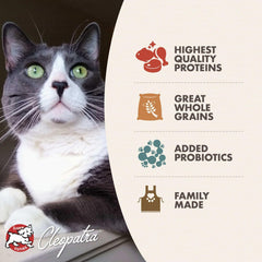Fromm Cat Gold Healthy Weight