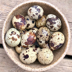 Big Country Raw - Quail Eggs (Frozen)