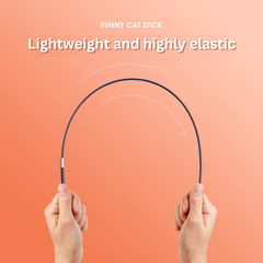 Cat Teasing Stick with Durable Fishing Wire