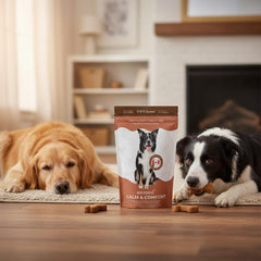 Ancestral - Calm & Comfort Chews Pouch