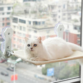 Window Foldable Hammock