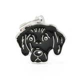 MyFamily - Coated Retriever