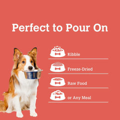 CHARMY PET Dog Turkey Tail & Cranberry Mushroom Bone Broth