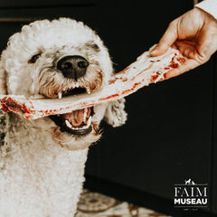 Faim Museau - Medium Beef Ribs