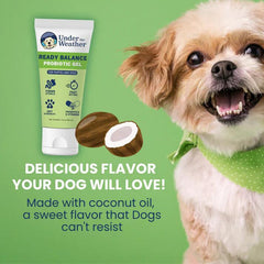 Under the Weather Ready Balance Probiotic Squeezable Gel For Dogs 3.5oz