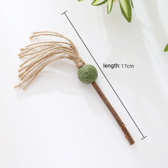 Catnip Teething Stick