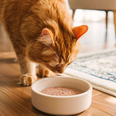 Faim Museau - Chicken & Salmon Frozen Raw Cat Food