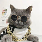 Stylish Pet Sunglasses