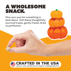 Primal Dog Freeze Dried Treats Pumpkin For My Pumpkin Chicken & Pumpkin with Goat Milk