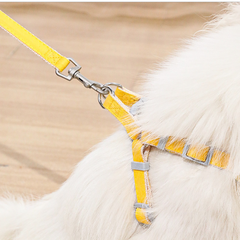 Pet Adjustable Harness Padded Vest with Leash Cartoon Face