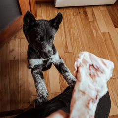 Faim Museau - Small Beef Ribs