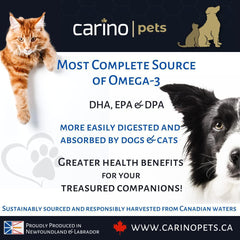 Carino Pets Omega3 Harp Seal Oil for Dogs & Cats