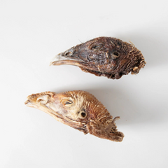 Grand Valley Quail - Turkey Heads