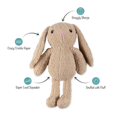 Fringe Studio - Hoppy To See You Large Plush Dog Toy