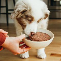 Faim Museau - Simply Beef Frozen Raw Dog Food