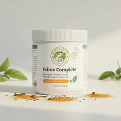 Wholistic Pet Organics - Organic Pumpkin Feline Complete