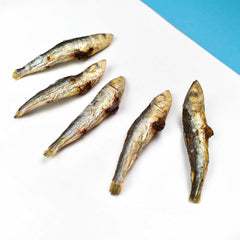 Wiggly Babies - Freeze Dried Wild Caught Sardine
