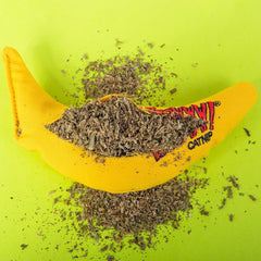 Yeowww! - Catnip Chi-CAT-a Banana Toy