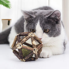 Acacia Wood Polygon Catnip Toy