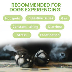 Under the Weather Ready Balance Probiotic Squeezable Gel For Dogs 3.5oz