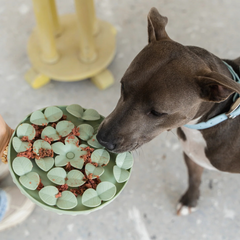 Dexypaws - Enrichment Snuffle Mat Circle Sage Green