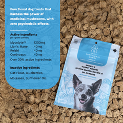 Foley’s Functional Fungi Anxiety & Allergy Support Dog Treats - Blueberry