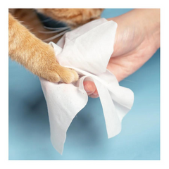 Pidan Pet Wet Wipes