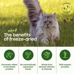 SMALLBATCH Cat Freeze Dried Turkey Meal Bites 10oz