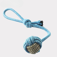 Teeth Grinding and Boredom Relief Knot Dog Toy