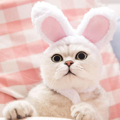 Pet Various Plush Cute Headgear