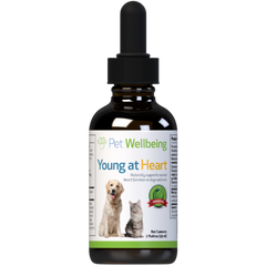 Pet Wellbeing - Young at Heart for Cats