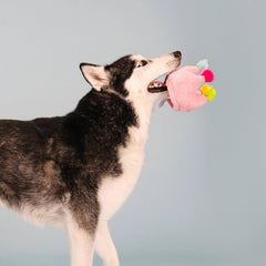 Fringe Studio - If The Crown Fits Wear Then Play Birthday Plush Dog Toy