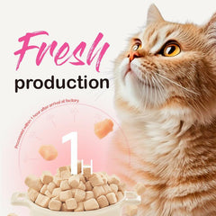 RANOVA - Freeze Dried Cat Food Fresh Meat Chicken
