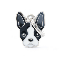MyFamily - Boston Terrier