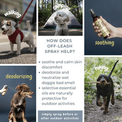 Black Sheep Organics Off Leash Lemongrass & Mint Anti-Itch Dog Spray