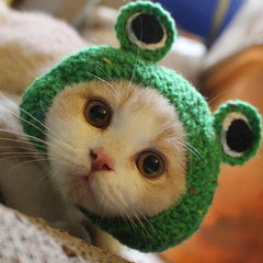 Pet Various Plush Cute Headgear