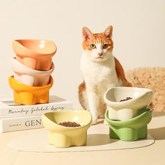 Raised and Tilted Cat Bowl