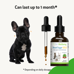 (SHORT DATE) Pet Wellbeing - Blood Sugar Gold (Best Before May 2026)